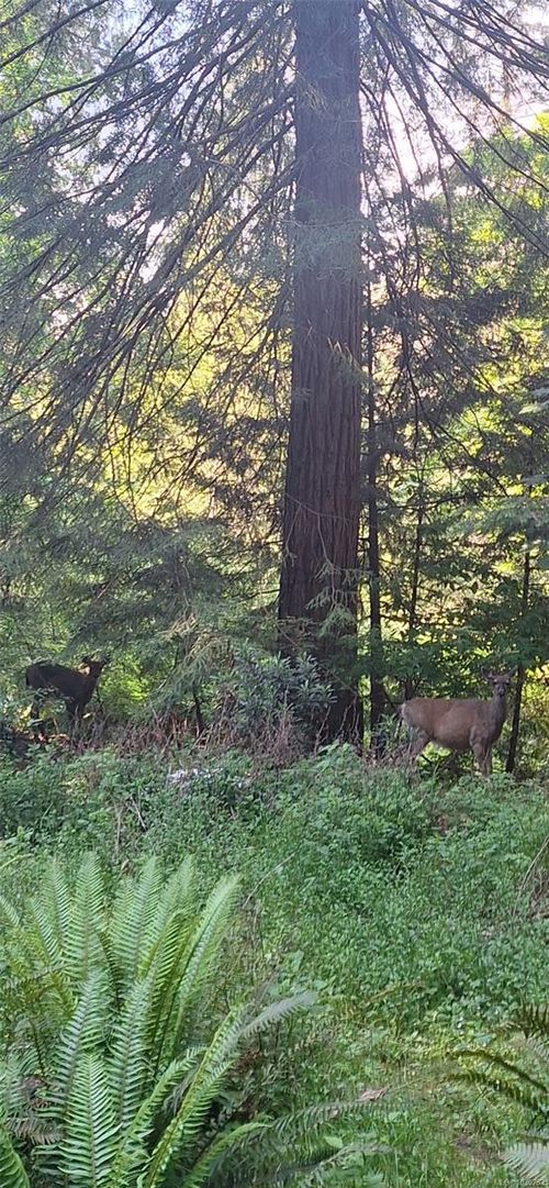 2359 Kendall Rd, Nanaimo, BC, V9X1W8 | Card Image