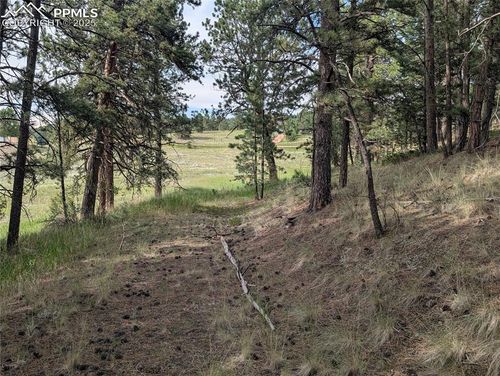 1379 S Mountain Estates Rd, Florissant, CO, 80816-7917 | Card Image