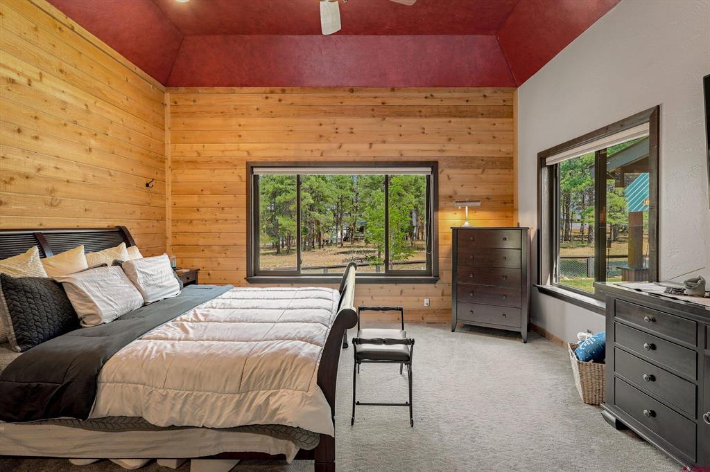 Residential in Pagosa Springs 3