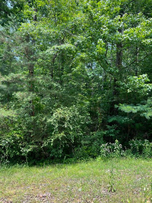 7511 Rocky Ledge Dr, Hixson, TN, 37343-1964 | Card Image