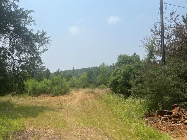 330 Powell Rd, Home with 0 bedrooms, 0 bathrooms and null parking in Smithville TX | Image 17