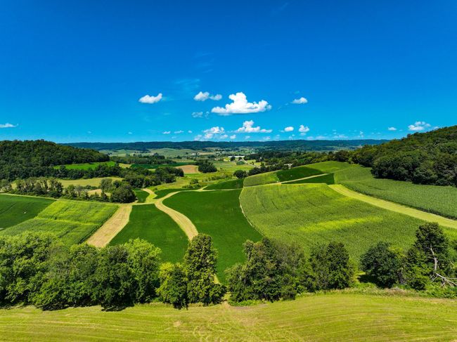 DJI_0389.jpg | Image 18