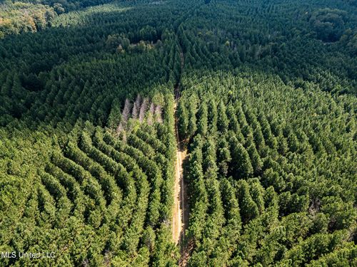 3228 Highway 548, Hermanville, MS, 39086 | Card Image