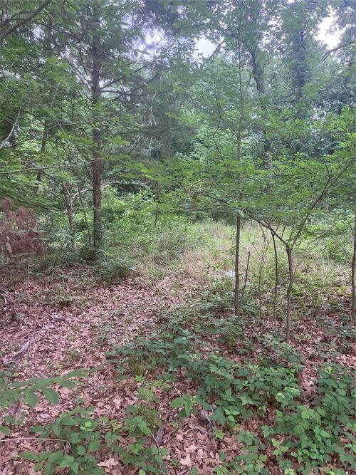 106 Red Bluff Loop, Mabank, TX, 75156-6528 | Card Image