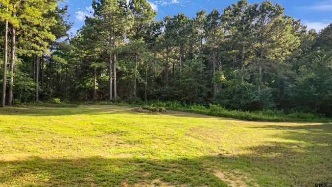 TBD 17.57 ACRES Fm 2274, Home with 1 bedrooms, 1 bathrooms and null parking in Troup TX | Image 12