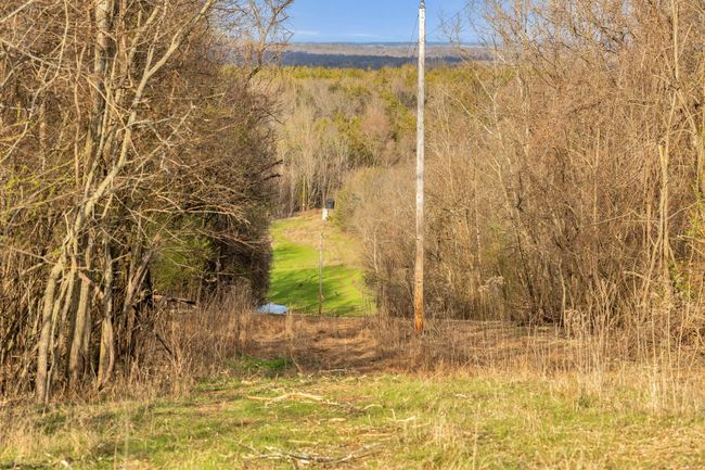 0 Fishing Ford Rd, Home with 0 bedrooms, 0 bathrooms and null parking in Belfast TN | Image 32