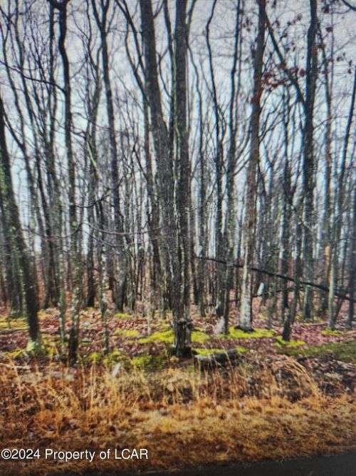 179 Wichita Lane, West Hazleton, PA, 18202 | Card Image