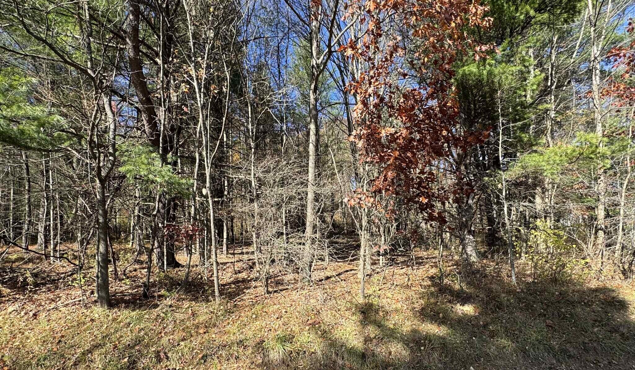 Land in Brookville 4