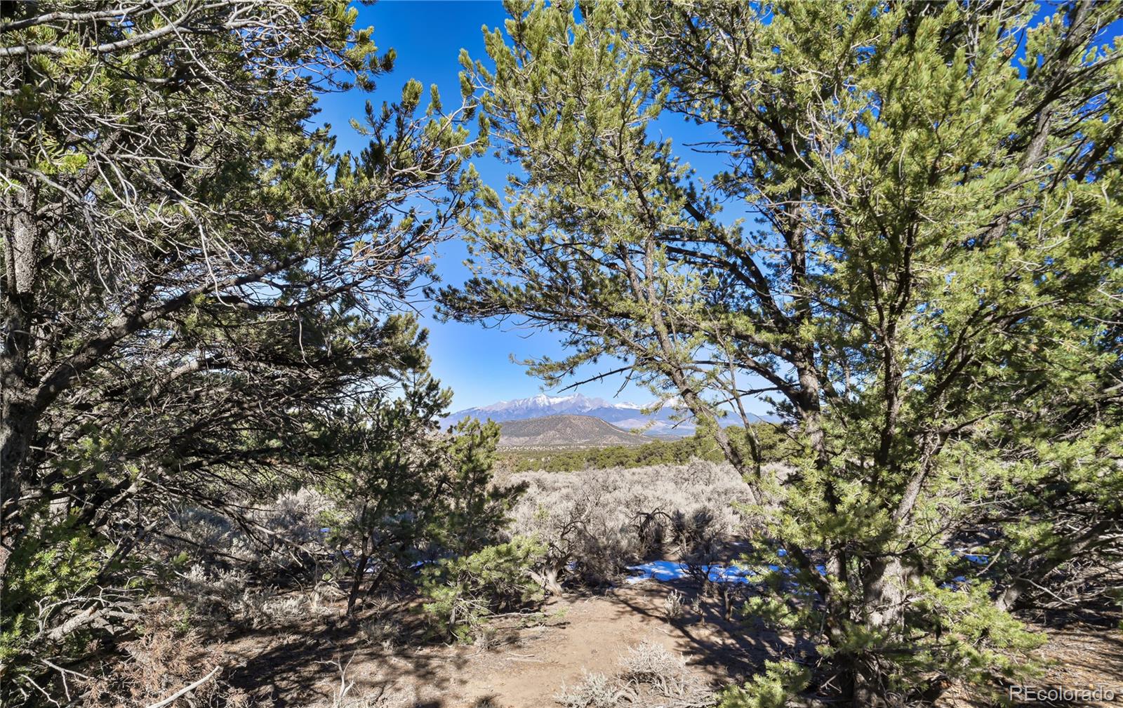 Land in Fort Garland 3