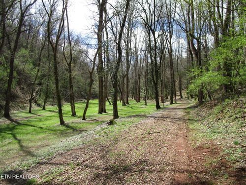 4125 Bear Hollow Loop, Louisville, TN, 37777-5133 | Card Image
