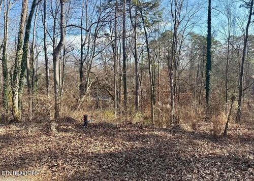 Lot 43, 44 Mayflower Ln, Dandridge, TN, 37725 | Card Image