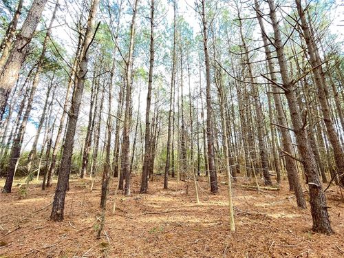 00 New Bridge Rd, Mc Coll, SC, 29570 | Card Image