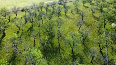 Aerial view | Image 3