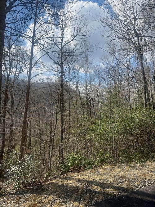 Lot 3 Sunny Ridge Ln, Glenville, NC, 28736 | Card Image