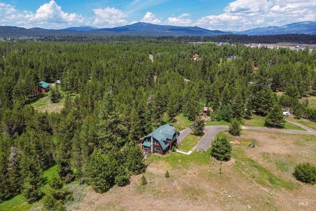 Aerial view of a forest and a mountainous background | Image 48