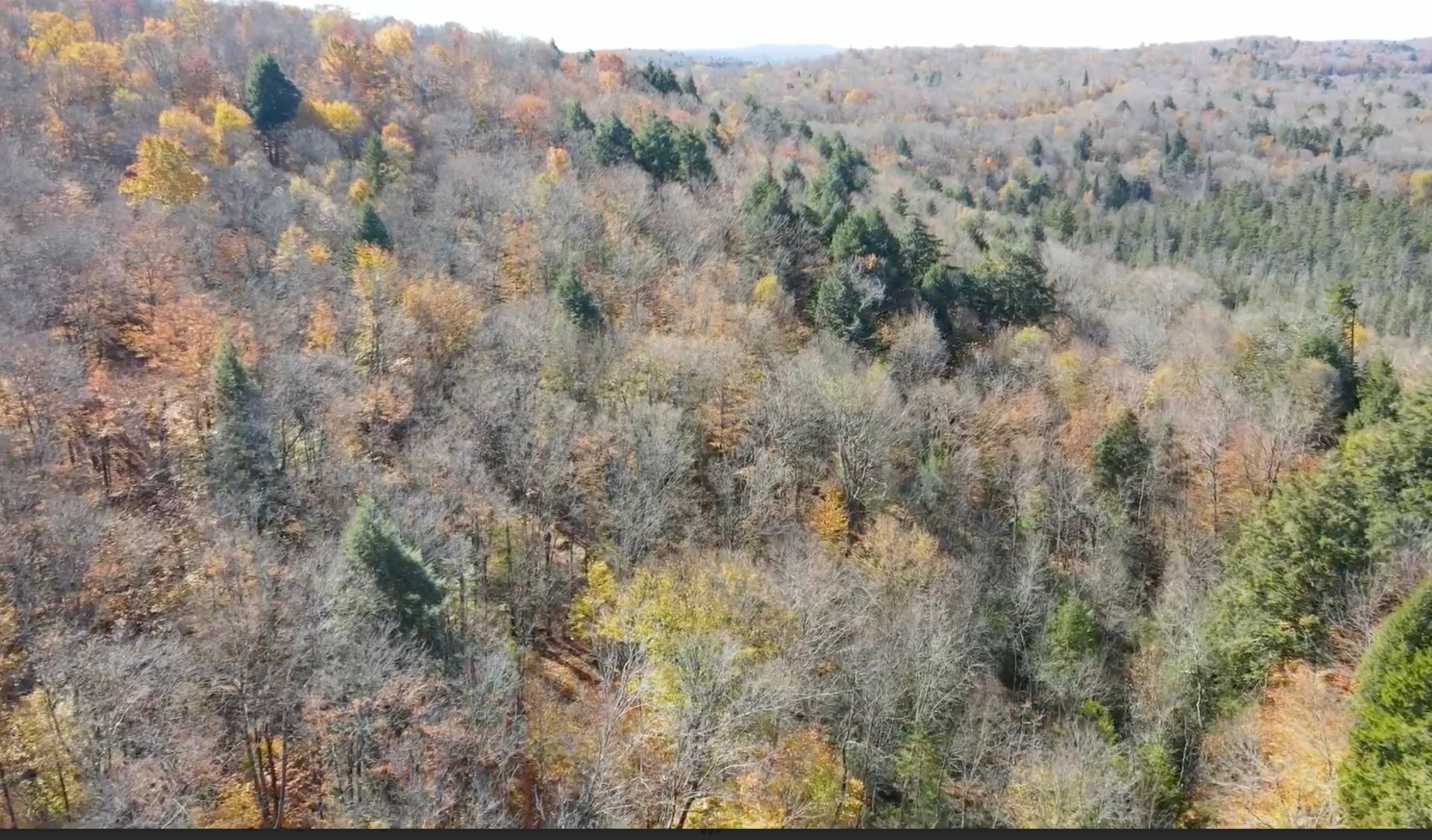 Land in Wentworth 2