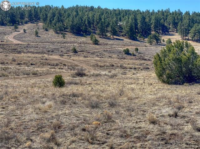 Land in Westcliffe 3
