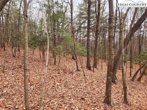 149 Sutters Ridge Rd, Mc Grady, NC, 28649 | Card Image