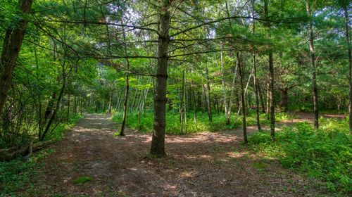 39 Hardwood Ct, Cable, WI, 54821 | Card Image