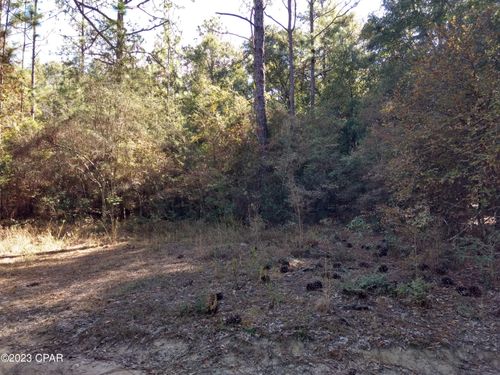 0 Little John Ln, Bonifay, FL, 32425 | Card Image