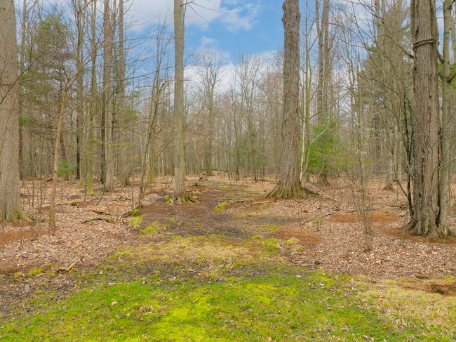 8. Trail View | Image 5