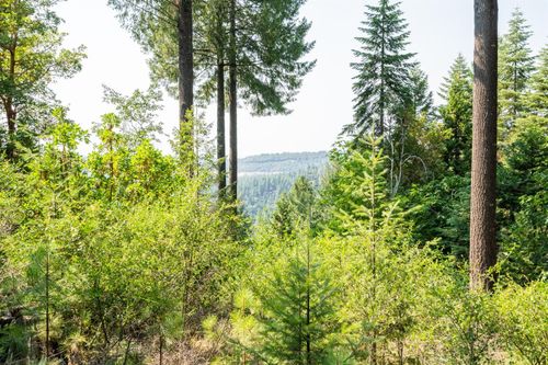 13518 Quaker Hill Cross Rd, Nevada City, CA, 95959-9566 | Card Image