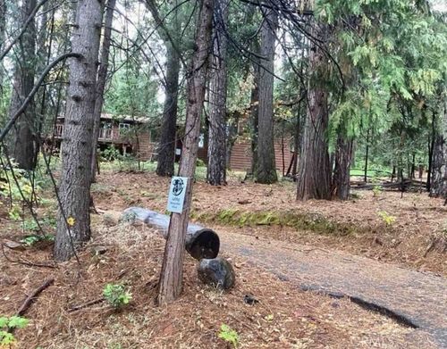 14669 Old Camptonville Rd, Camptonville, CA, 95922-9619 | Card Image