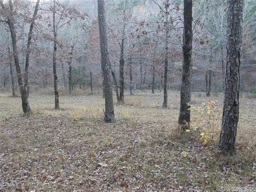 155 Shady Ln, Mena, AR, 71953-9084 | Card Image