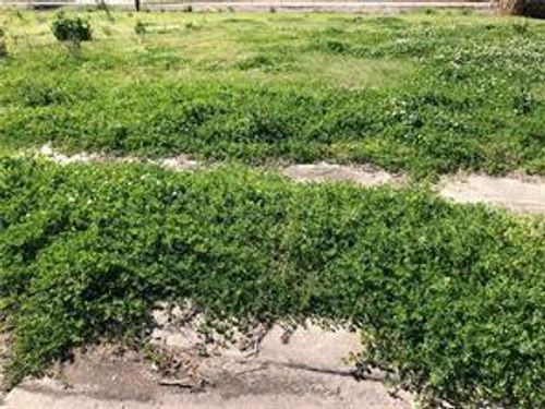 2336 Artillery Dr, Chalmette, LA, 70043-4302 | Card Image