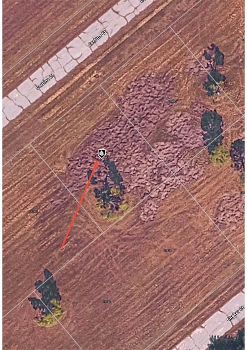 12394 Corbina Ct, Placida, FL, 33946 | Card Image