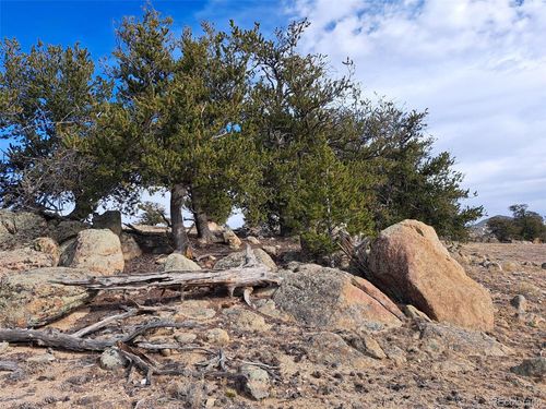 1282 Ute Trce, Hartsel, CO, 80449 | Card Image