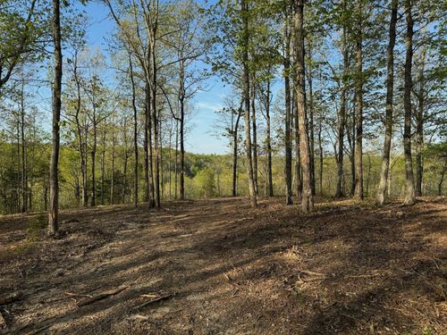 3900 Roan Creek Rd, Linden, TN, 37096 | Card Image