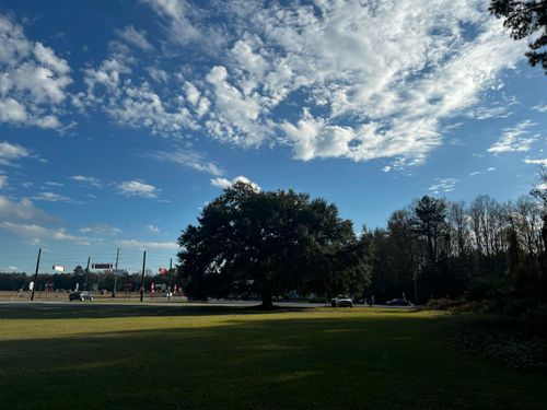 12703 Lowcountry Hwy, Ruffin, SC, 29475-4017 | Card Image