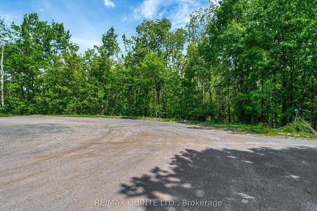 0 Forest Park Rd, Home with 0 bedrooms, 0 bathrooms and null parking in Marmora ON | Image 10