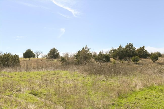 View of nature featuring a rural view | Image 16