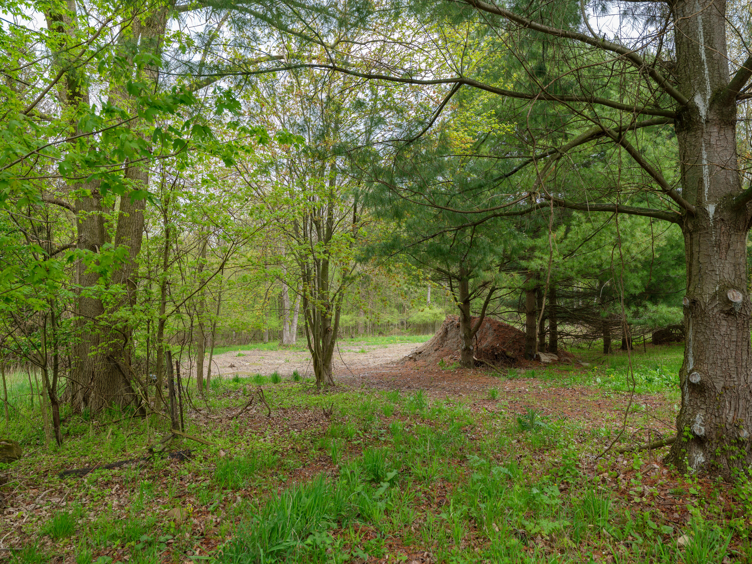 Land in Vicksburg 4