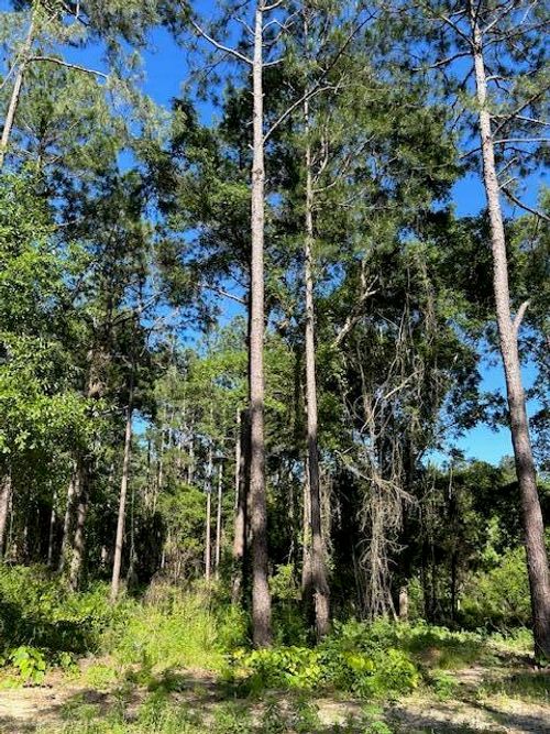 03 Savannah Millard Rd., Poplarville, MS, 39470 | Card Image