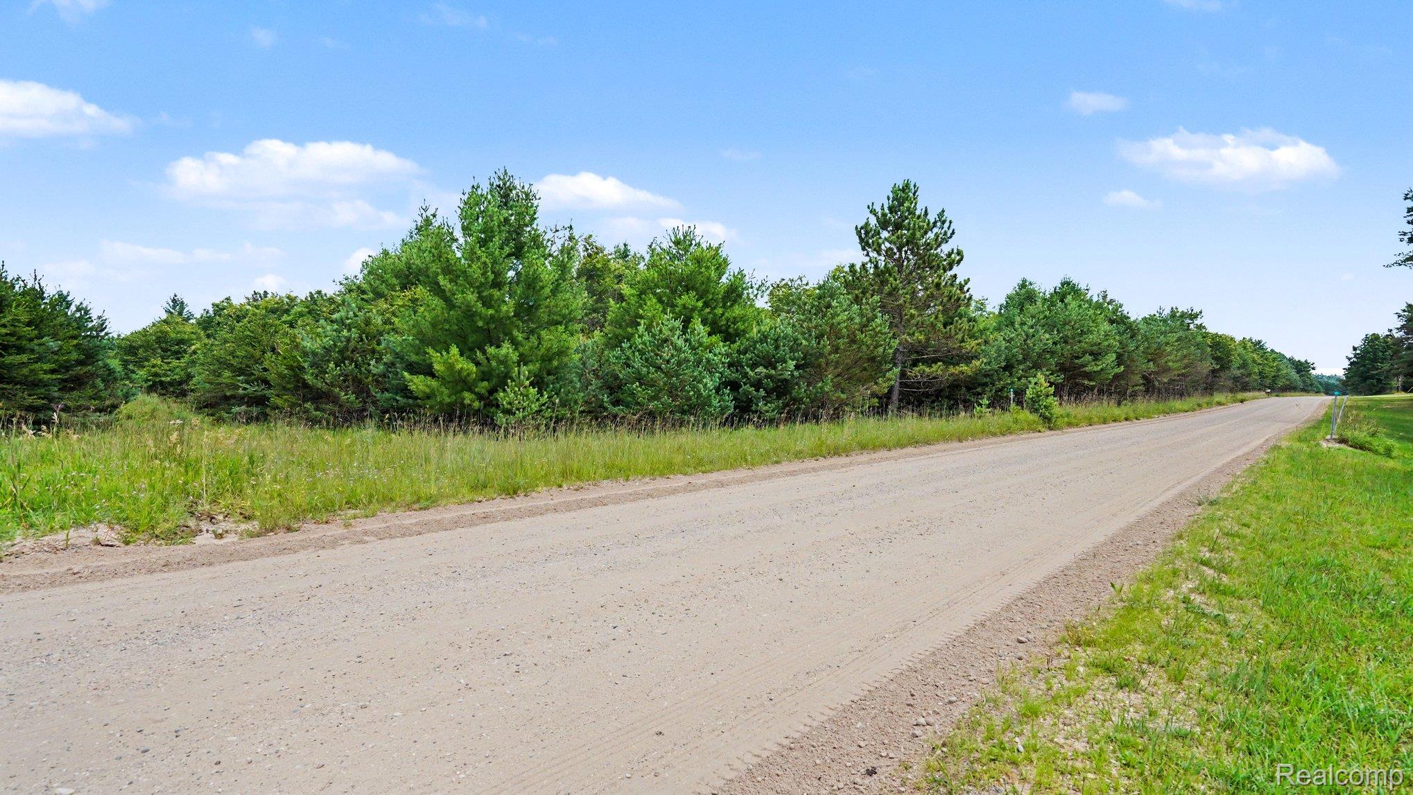 Land in Beaver Creek Township 2