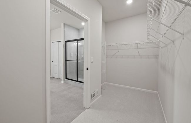 Massive Owner's | Image 12