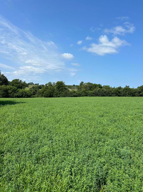 Lot #2 Lucy Ln, Cynthiana, KY, 41031 | Card Image