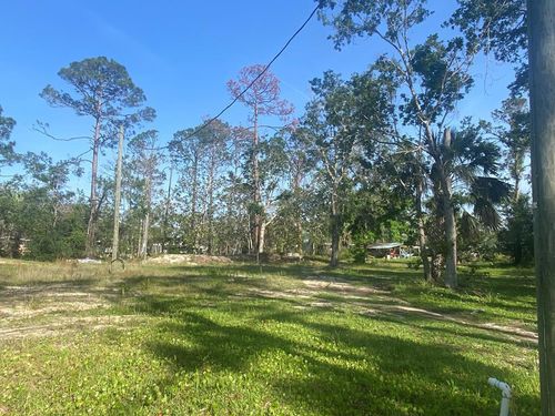 0 Main St, STEINHATCHEE, FL, 32359 | Card Image