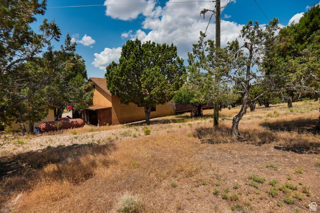 View of yard | Image 9
