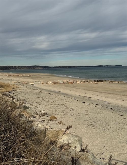 8 Driftwood Ln, Sagamore Beach, MA, 02562-2502 | Card Image