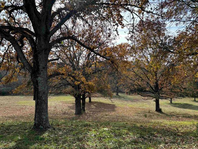 00 Cadron Gap Rd, Home with 0 bedrooms, 0 bathrooms and null parking in Conway AR | Image 43