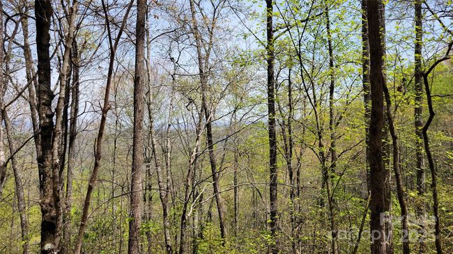 27 - 27 Lacy Fern Rdg, Home with 0 bedrooms, 0 bathrooms and null parking in Sylva NC | Image 9