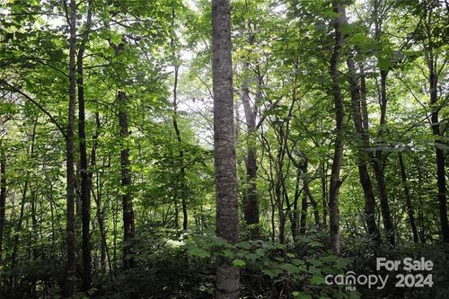 111-17 Wood Haven Ln, Black Mountain, NC, 28711-7709 | Card Image