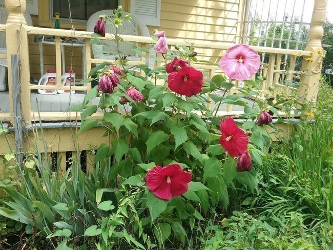 R - 20 Cross St, House other with 4 bedrooms, 2 bathrooms and 5 parking in Beverly MA | Image 28