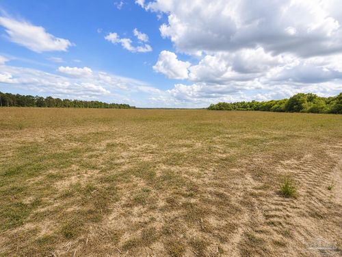 Lot 1 Tungoil Rd, Walnut Hill, FL, 32568 | Card Image