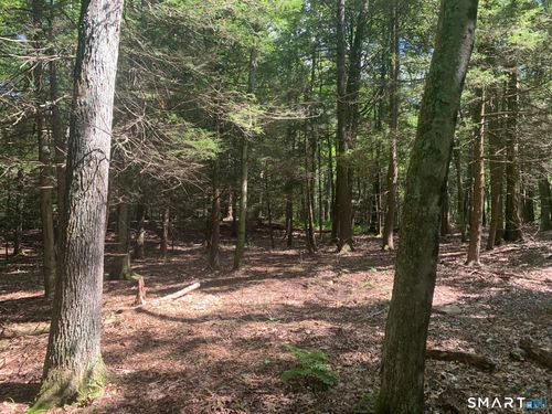 Lot 1 Chalybes Rd W, Roxbury, CT, 06783-1418 | Card Image