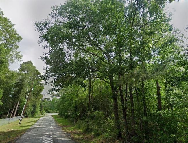 0 N Fm 3083 Rd W, Home with 0 bedrooms, 0 bathrooms and null parking in Conroe TX | Image 17